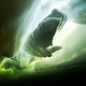 Illustration for article titled Perhaps the Most Beautiful Undersea Photography Weve Ever Seen
